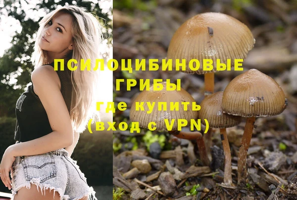 мяу мяу мука Абинск