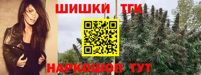 бутират Камышлов