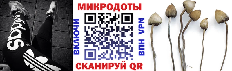 Галлюциногенные грибы MAGIC MUSHROOMS  купить   ОМГ ОМГ как войти  Тихорецк 
