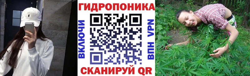 Каннабис семена  Тихорецк 